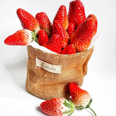 Strawberry Cream Seeds