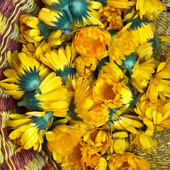 Resina Calendula
