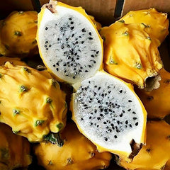 Yellow Dragon Fruit Seed Rare Color Pitaya Fruit Sweet Juicy Fruits Rich in Vitamin