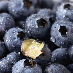 Blueberry Seed  Berry Fresh Fruit Seeds Perennial Outdoor Indoor