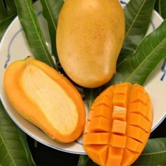 Mango Fruit Seed Delicious Non-GMO Fruit Juicy Fruits Robust Flavor High Yield Flourishing Makes Great Edging