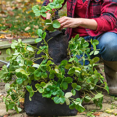 Grow Tub® Strawberry Tower™ - Garden Container