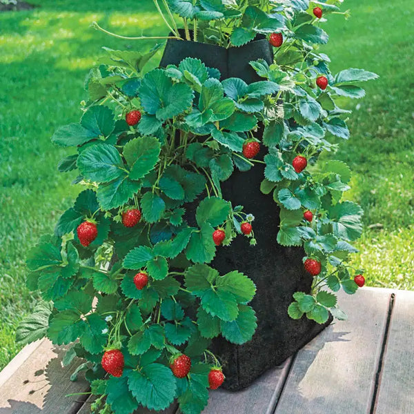 Grow Tub® Strawberry Tower™ - Garden Container
