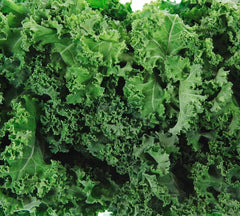 Dwarf Siberian Kale Seeds for Planting Heirloom Non GMO Packets 200 Seeds - Plant & Grow Kale in Home Outdoor Garden, Great Gardening Gift - 1 Packet