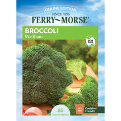 Broccoli, Waltham Seeds, 1.6g
