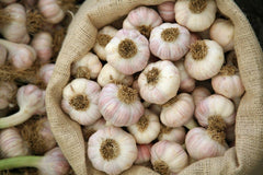 GARLIC BULB (5 Pack), FRESH CALIFORNIA SOFTNECK GARLIC BULB FOR PLANTING AND GROWING YOUR OWN GARLIC OR GREAT FOR EATING AND COOKING
