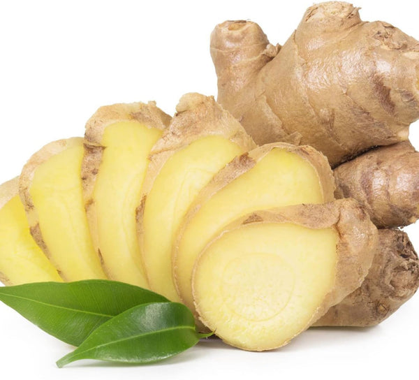 200g Ginger (Zingiber Officinale) Canton Gingerle Tuber Tasty Culinary Spices Plant Organic Non-GMO Heirloom Vegetable Seeds to Plant Home Garden