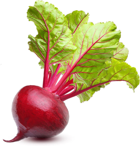 Beet Seeds for Planting - Non-GMO Heirloom Seed Packets with Instructions to Plant & Grow an Outdoor Vegetable Garden - Great Gardening Gift - 50 Ruby Queen Beet Seeds Per Packet (1 Packet)
