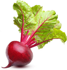 Beet Seeds for Planting - Non-GMO Heirloom Seed Packets with Instructions to Plant & Grow an Outdoor Vegetable Garden - Great Gardening Gift - 50 Ruby Queen Beet Seeds Per Packet (1 Packet)