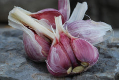 Chesnok Red Garlic, 2 Nice Bulbs. Great for Fall Planting! Non GMO garlic seeds for planting
