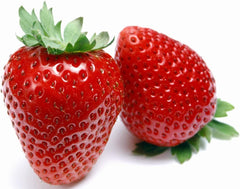 Eversweet Everbearing Strawberry 10 Bare Root Plants - Super Sweet
