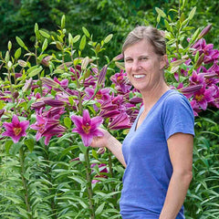 Purple Lady Lily Tree