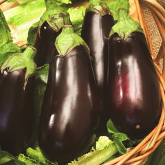 Eggplant, Black Beauty Heirloom Seeds, 400mg