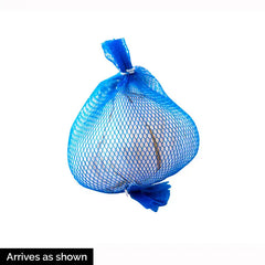 Stuttgarter Reisen Onion Set