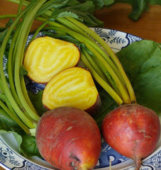 Touchstone Gold Beet 200 Seeds - Seedsplant