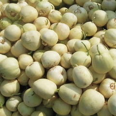 Bai Mibao Taiwan Melon Seeds White Thin-Wall Muskmelon