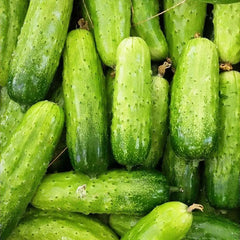 Crawling Cucumbers Seeds