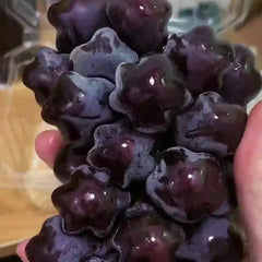 Hot Sale Rare And Beautiful Breed Star Grape Seeds