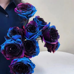 Starry Sky Roses