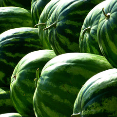 Rare Blue Watermelon Fruit Seed Sweet Juicy Fruits High Germination Rate