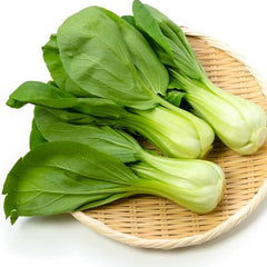Bok Choy Seeds for Planting Cải Thìa AKA. Pak Choi, Chinese Cabbage, Bok Choi