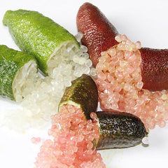 Finger Lime Seeds Non-GMO Low Maintenance  Garden Plant Fruit Seeds