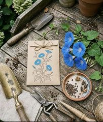 100 Heavenly Blue Morning Glory Seeds for Planting - Variety for Home Gardening