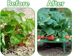 Iceyyyy 5 Pack Strawberry Plant Support - Strawberry Growing Racks with 4 Sturdy Legs - Strawberry Growing Frame Keep Berries Clean