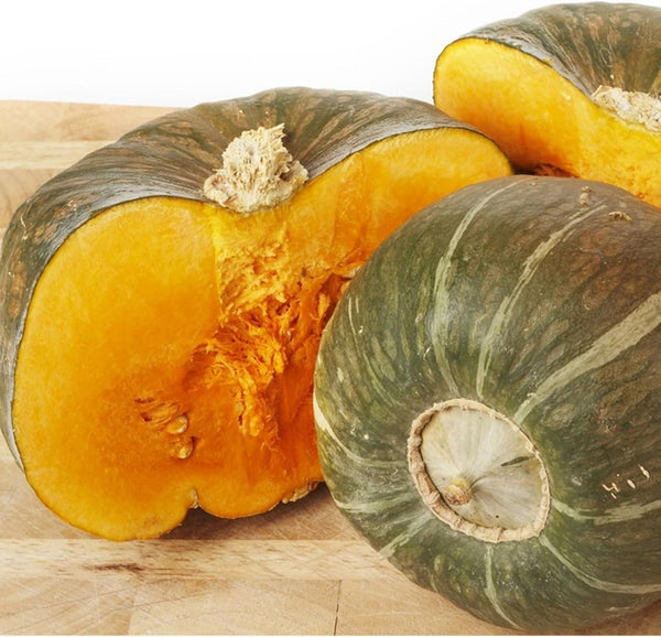 Winter Squash Seeds for Planting – Plant & Grow Burgess Buttercup Squash 10 Seeds – Instructions to Plant Non GMO Heirloom Home Outdoor Vegetable Garden – Great Gardening Gift, 1 Packet