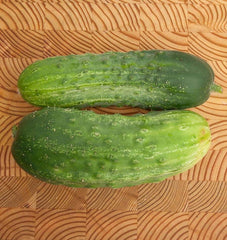 Homemade Pickles cucumber seeds