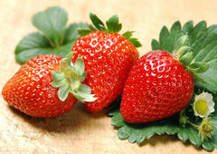 Albion Everbearing Strawberry 10 Bare Root Plants - New! Extra Large & Sweet