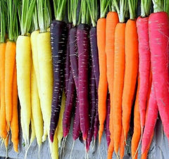 Rainbow Carrot Seeds for Planting Heirloom Packets 750 Seeds – Plant & Grow Rainbow Carrots in Home Outdoor Garden, Great Gardening Gift – 1 Packet - Seedsplant