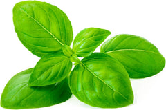 Basil Seeds for Planting – 750 Non GMO Heirloom Italian Basil Seeds – Indoor Hydroponic & Outdoor Gardening – Full Planting Instructions to Plant & Grow Basil – Great Gardening Gift, 1 Packet - Seedsplant