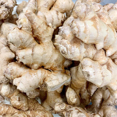 200g Ginger (Zingiber Officinale) Canton Gingerle Tuber Tasty Culinary Spices Plant Organic Non-GMO Heirloom Vegetable Seeds to Plant Home Garden