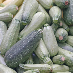 Zucchini Squash Seeds for Planting - Heirloom Packet with Instructions to Plant & Grow a Home Outdoor Garden – Great Gardening Gift, 1 Packet Approx 25 Seeds