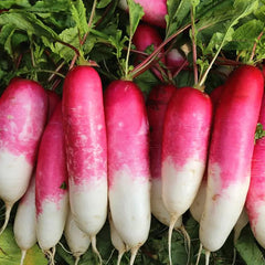 Thumb Fruit Radish Seeds