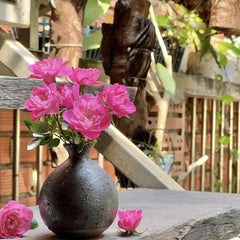 Lotus Star Rose Seeds: Blooming All Year, Bringing Continuous Good Fortune