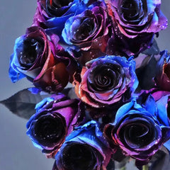 Starry Sky Roses