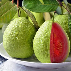 Tropical Strawberry Guava Organic Pink Guava Seeds