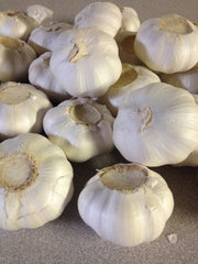 Garlic Bulb, California Softneck, 6 Bulbs, Planting or Eating - Seedsplant