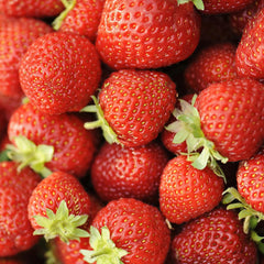 20 Honeoye Junebearer Strawberry Plants - Delicious Outdoor Planting for Home Garden - Grown USA. Zone 4-9.