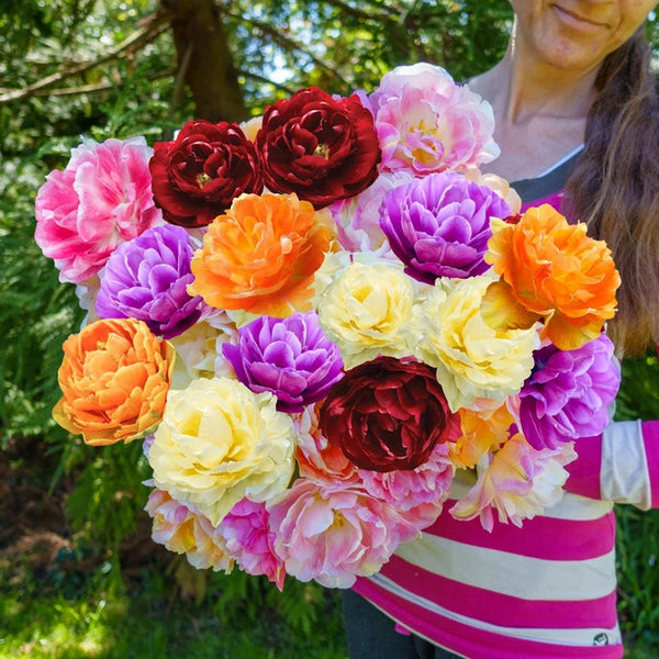 WOW! Peony-Flowering Tulip Mixture