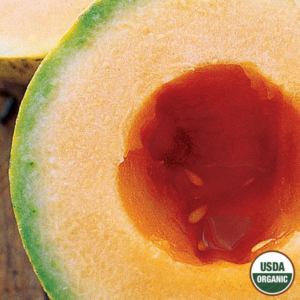 Cantaloupe, Honey Rock Organic Seeds, 2.1g