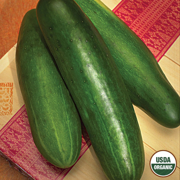 Cucumber, Bushy Organic Seeds, 1.2g