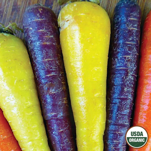 Carrot, Rainbow Mix Organic Seeds, 1.3g