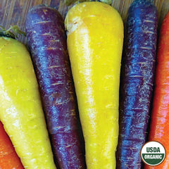 Carrot, Rainbow Mix Organic Seeds, 1.3g