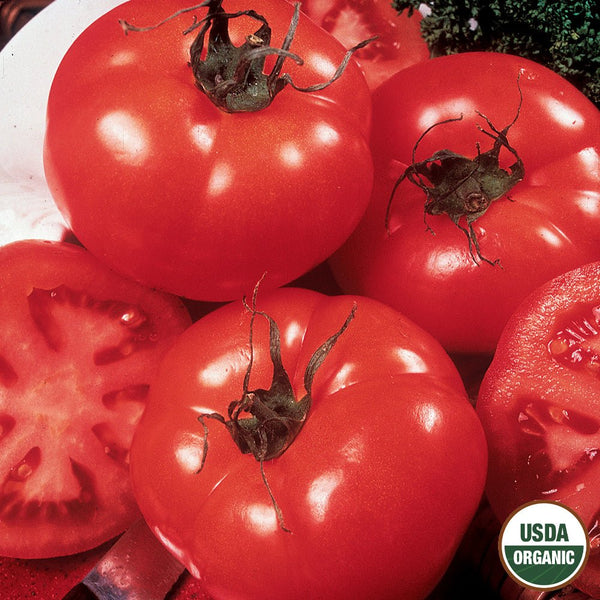 Tomato, Delicious Organic Seeds, 300mg