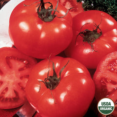 Tomato, Delicious Organic Seeds, 300mg
