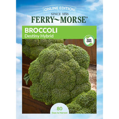 Broccoli, Destiny Hybrid Seeds, 300mg