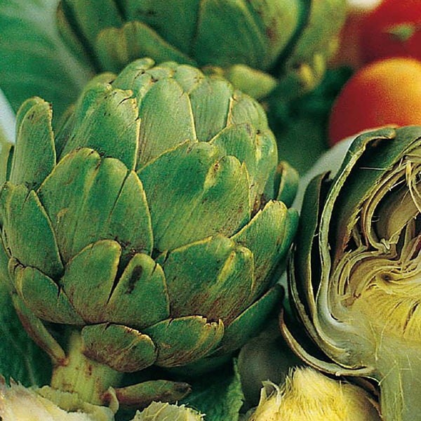 Artichoke, Green Globe Seeds, 900mg